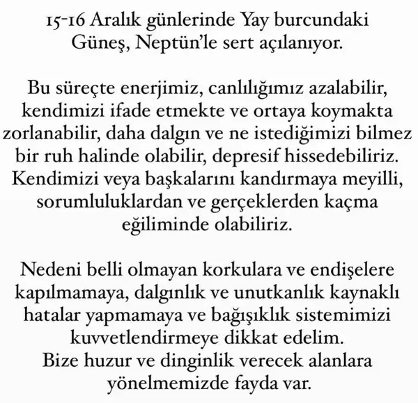 a17 (9).webp