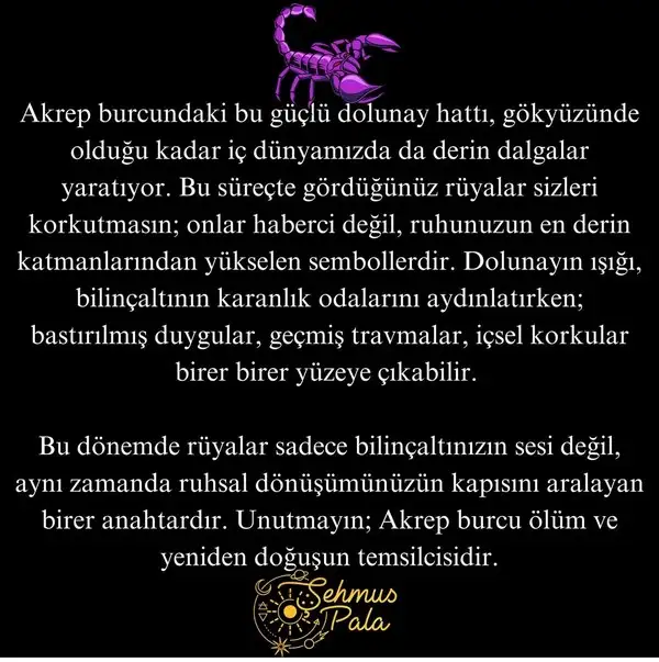 a17.webp