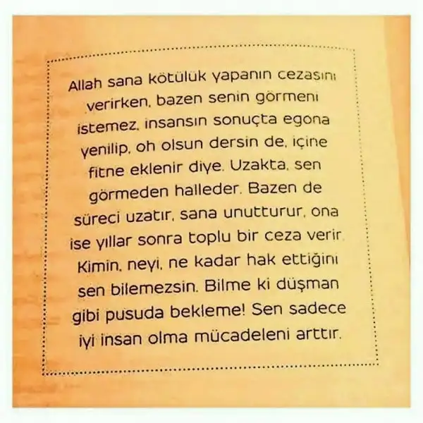 a17bcf57_o.webp