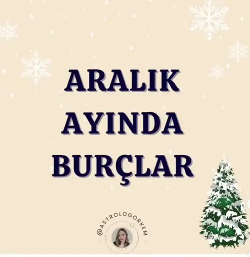 a19 (1).webp
