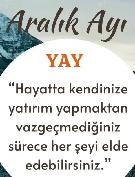 a19 (10).webp