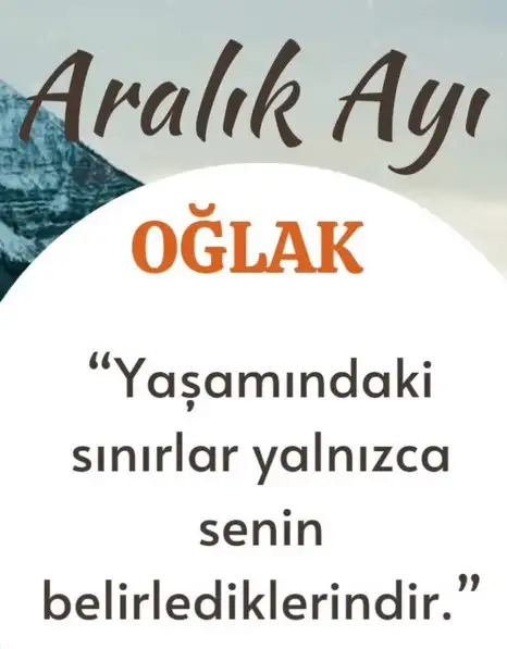 a19 (11).webp