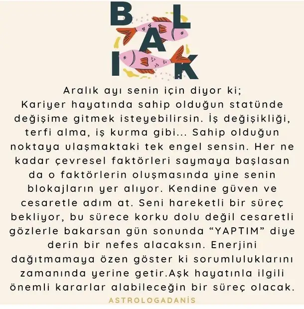 a19 (13).webp