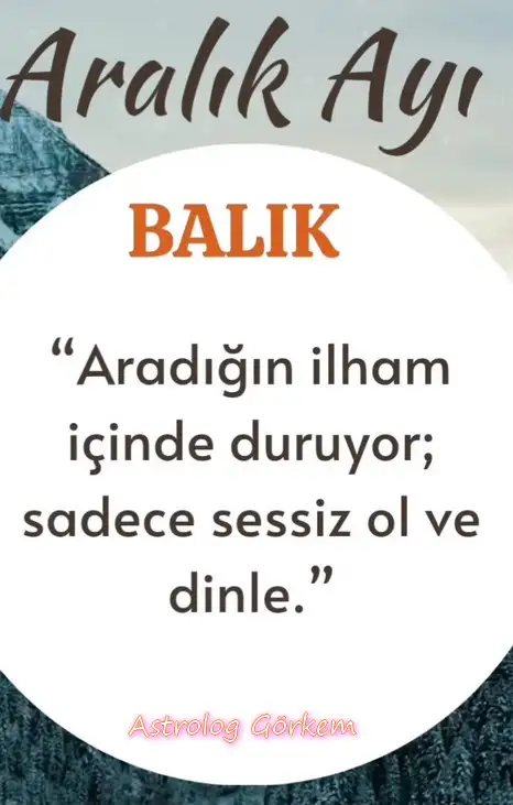 a19 (13).webp