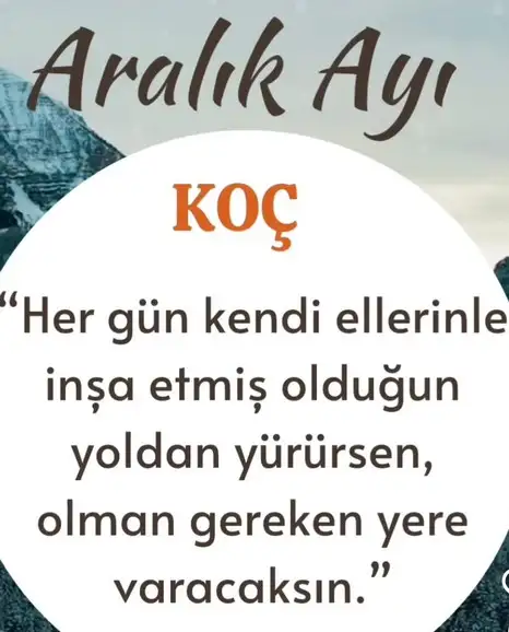a19 (2).webp