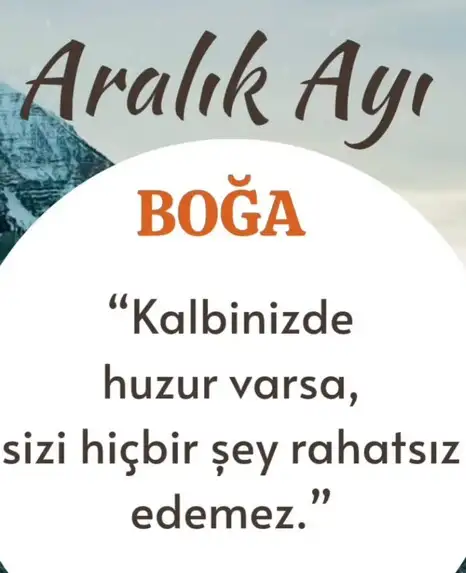 a19 (3).webp