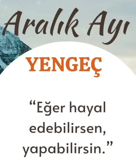 a19 (5).webp