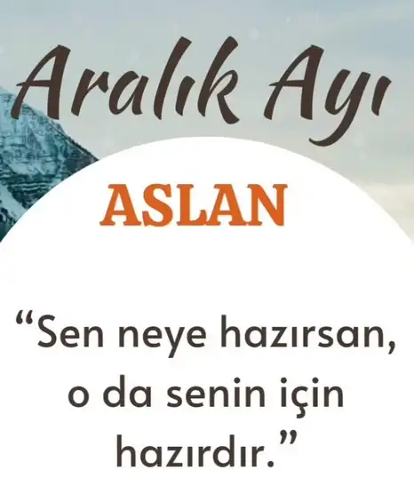 a19 (6).webp