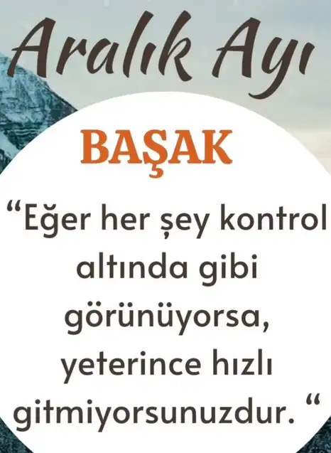 a19 (7).webp