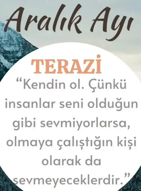 a19 (8).webp