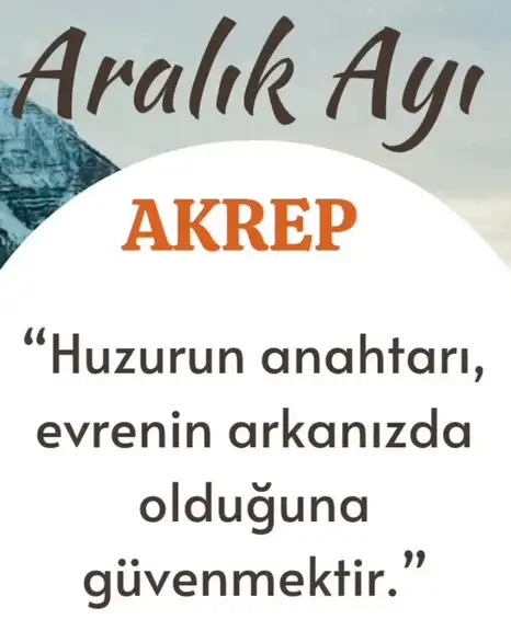 a19 (9).webp