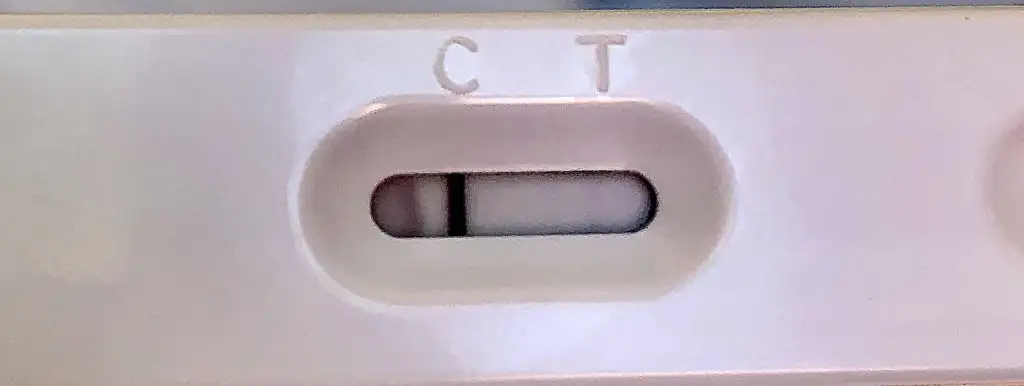 A21FF6A3-A2A4-48D8-BEC0-7F95BD2BEF0C.webp