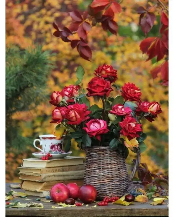 a27890140369cc70e962387ad836d5bc.webp