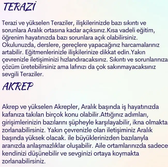 a28 (4).webp
