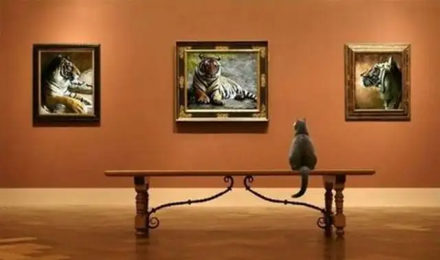 a28e295899b0374c1237d498fdf55564_k.webp