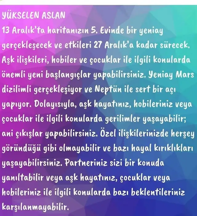 a29 (11).jpg