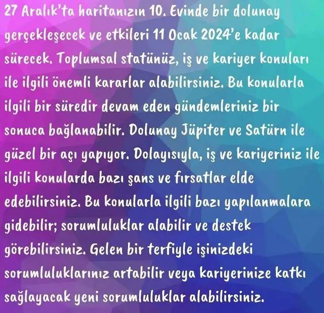 a29 (17).webp