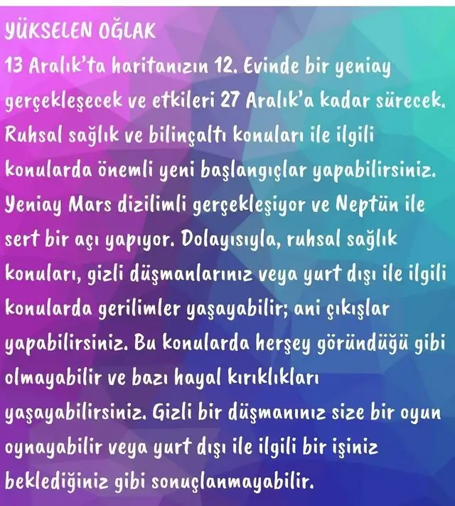 a29 (22).webp