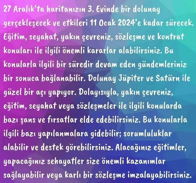 a29 (6).webp