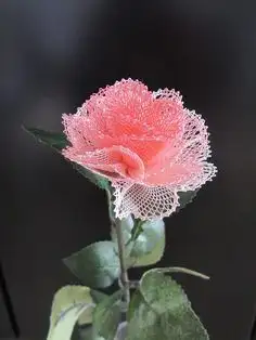 a2d56b8c9be9b5c04ee35bef6bb2a897--gul-needle-lace.webp