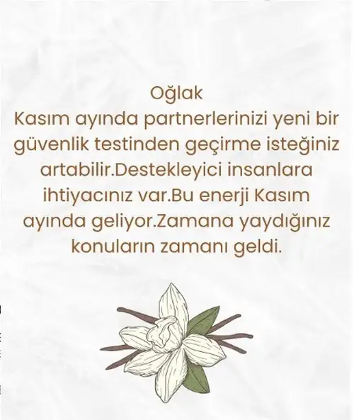 a3 (2).webp