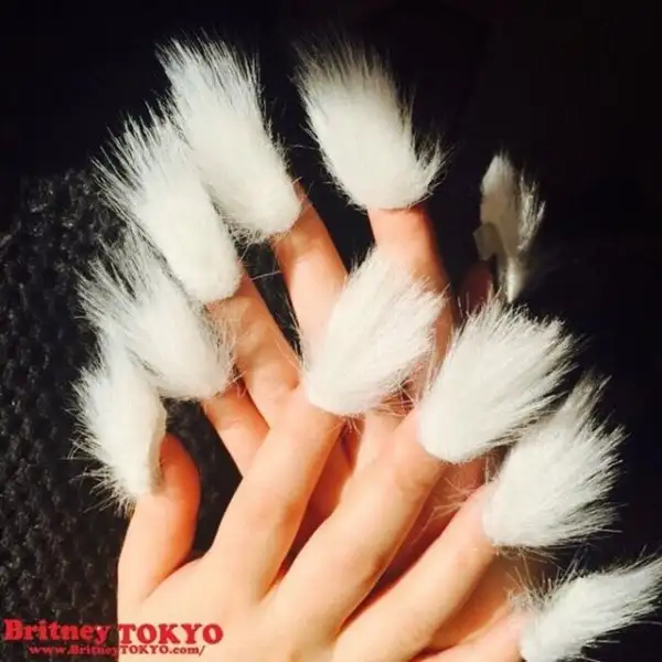 a34351f88fb3fdf7658a9988acd91863_k.webp