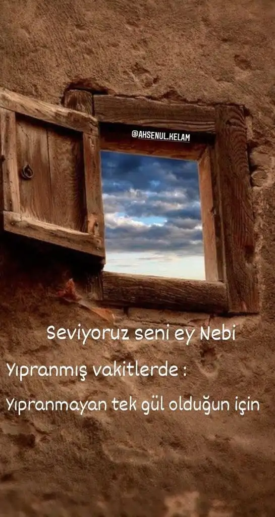 a3a562f056d6092fffe1fc693b5eb5a0.webp