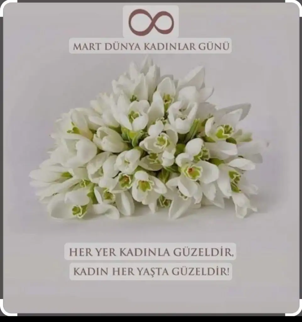 a63da015-b6d2-40b6-8374-ae451a177e81.webp
