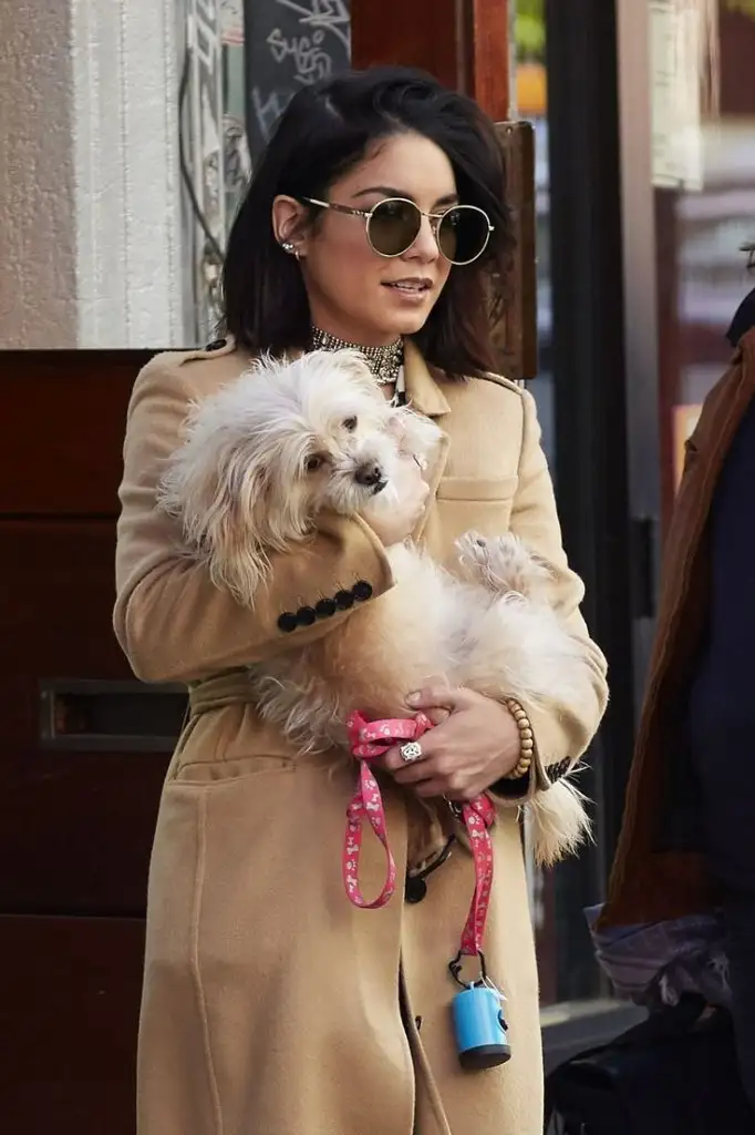 a6869ac6f18783d01672174ec448f6b1 (1).webp