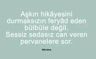 a6b12b08-2b93-4db5-8ea8-788be9567ca4-m.webp