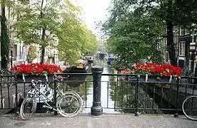 a7.webp