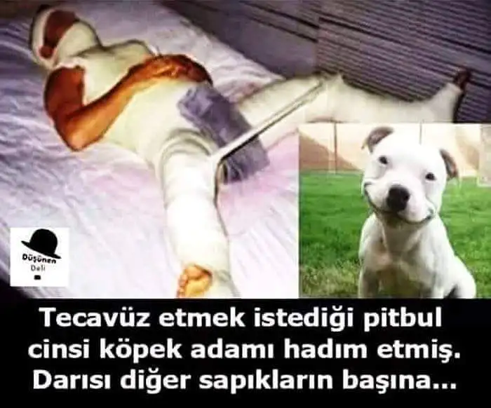 a7857e598e7a783f87745996581febbe.webp