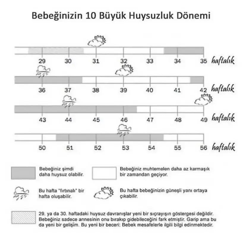 A9899B0B-88EA-41BA-A6C4-2544DA2EC42C.webp