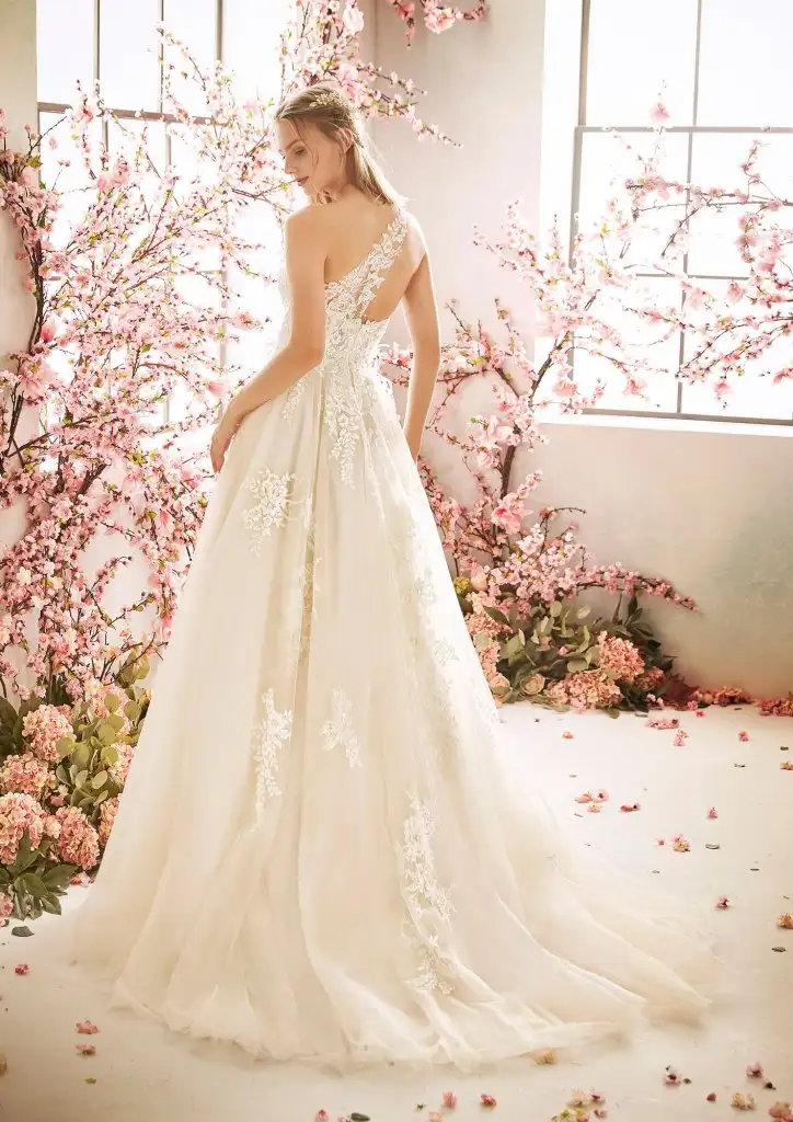 aa (4).webp