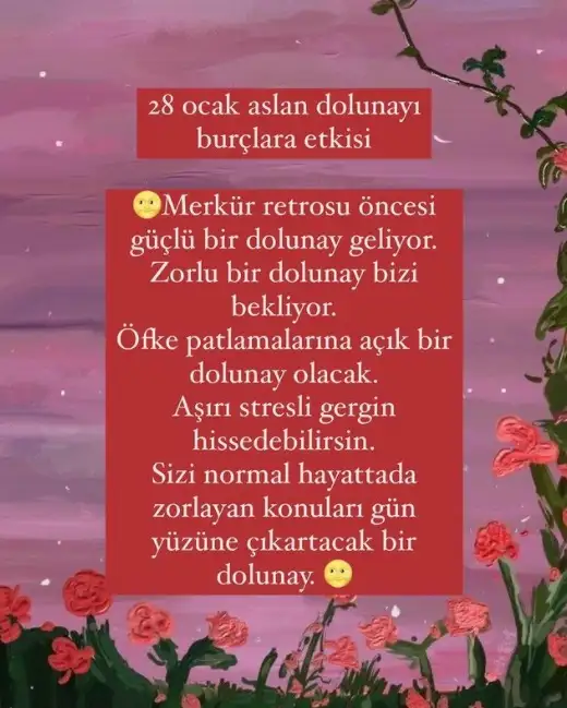 aa.webp