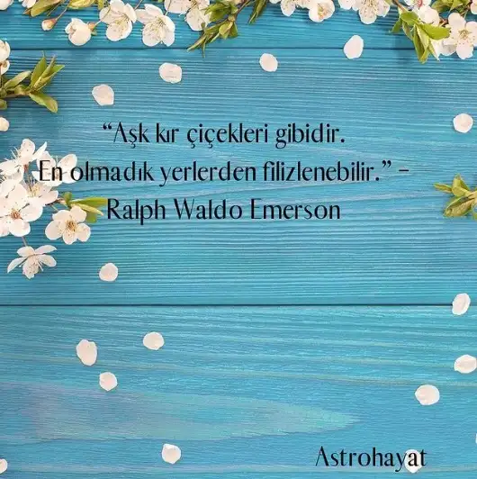 aa.webp