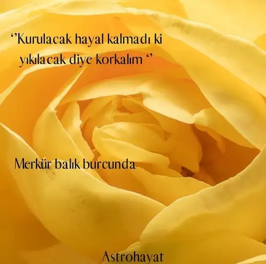 aa.webp