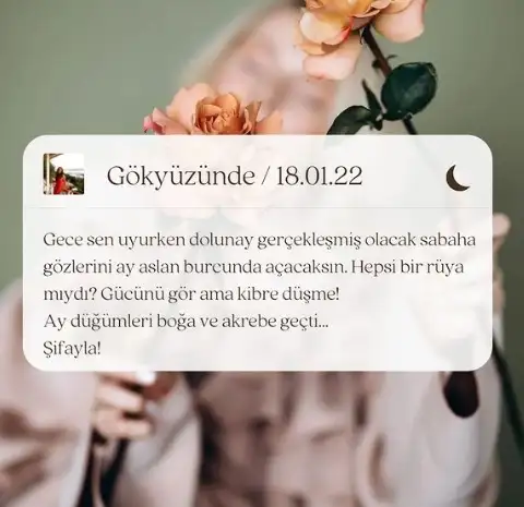 aa.webp