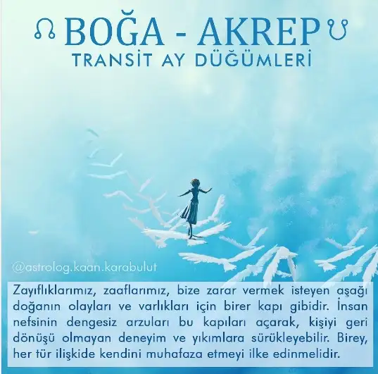 aa.webp