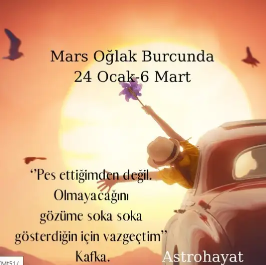 aa.webp