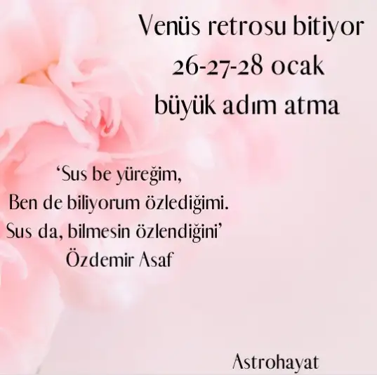 aa.webp