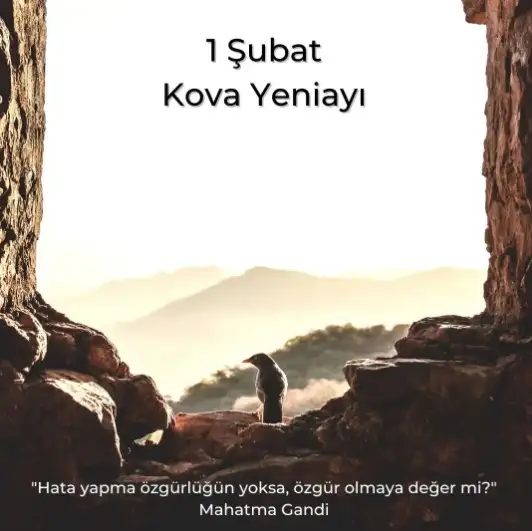 aa.webp