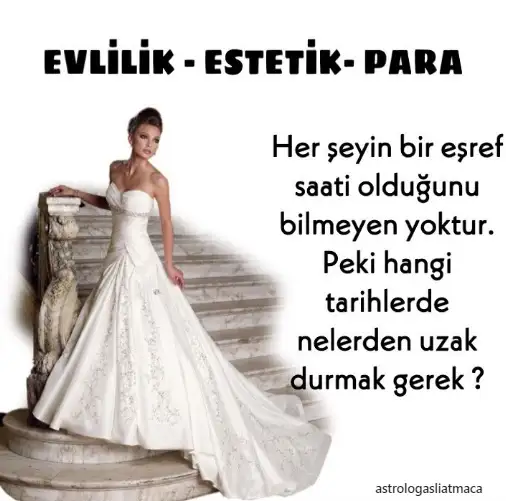 aa.webp