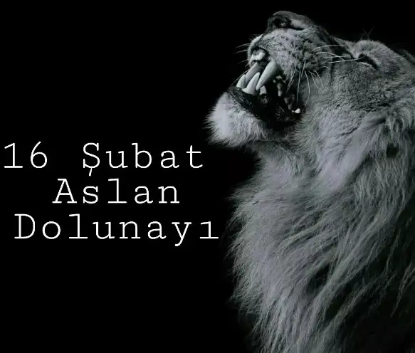 aa.webp