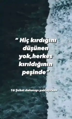 aa.webp
