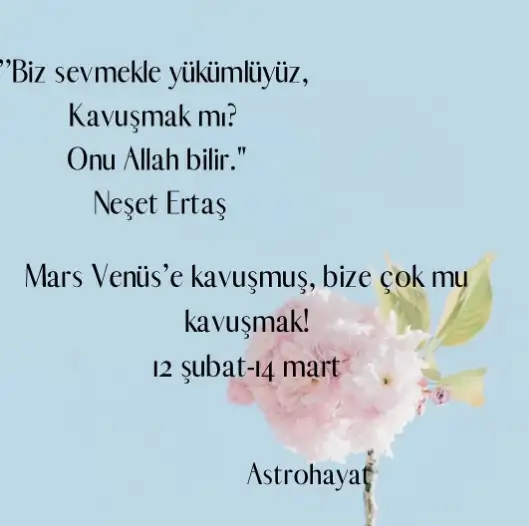 aa.webp