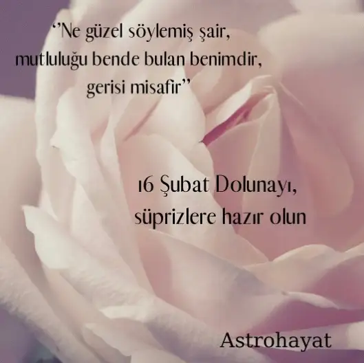 aa.webp