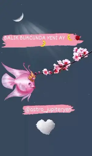 aa.webp