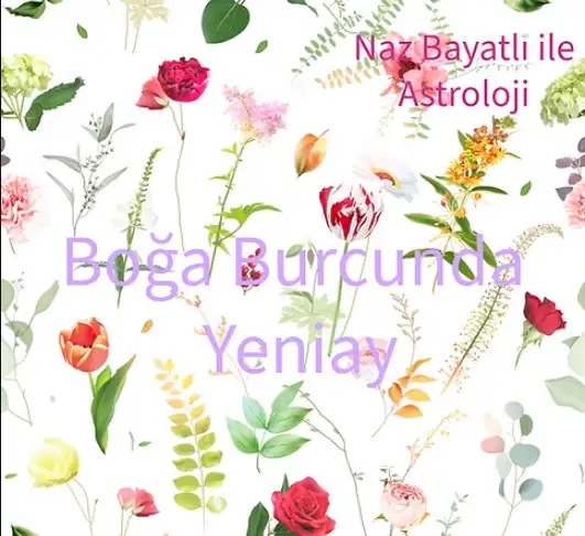 aa.webp