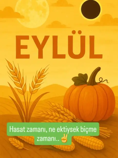aa.webp